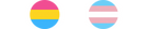 Pansexual and Transgender pride flag.